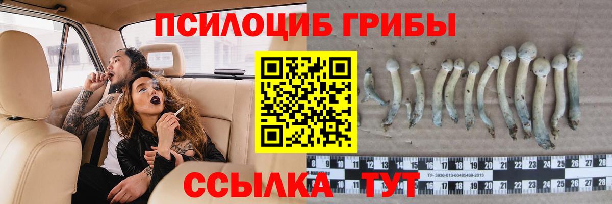 Галлюциногенные грибы мицелий  Галлюциногенные грибы GOLDEN TEACHER  Славгород  Вход с VPN 